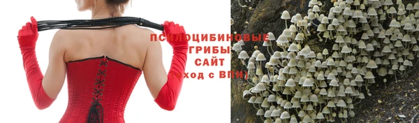 соль ск Алексеевка