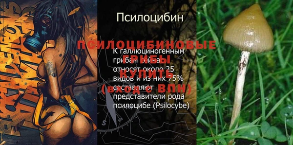 спиды Аркадак