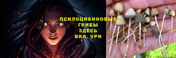 спиды Аркадак