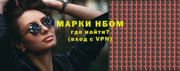 сатива Армянск