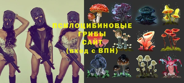 2c-b Арсеньев