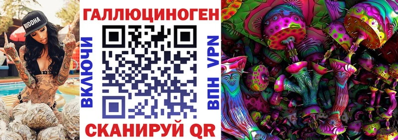 MEGA ONION  наркошоп  Чернушка  Галлюциногенные грибы Psilocybine cubensis 