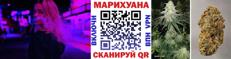 где можно купить наркотик Чернушка Каннабис индика